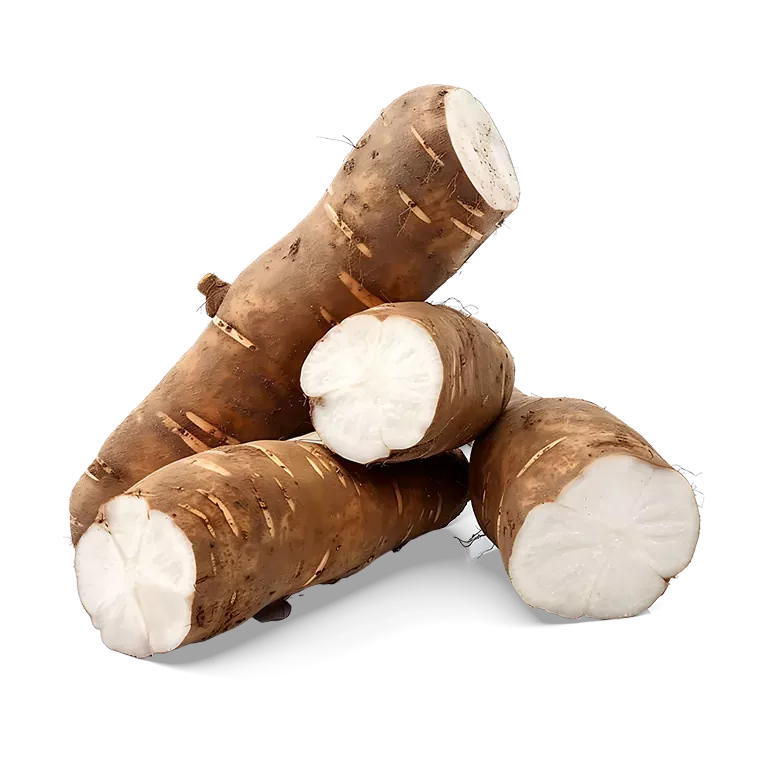 Cassava