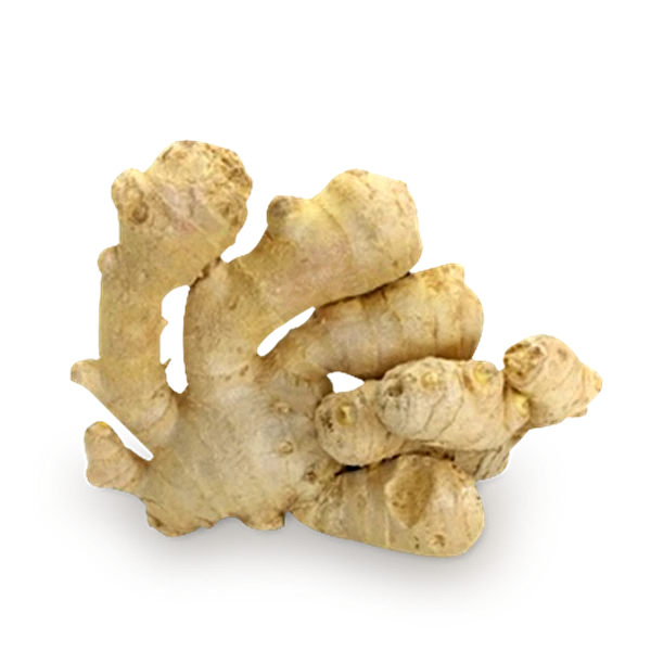 Ginger
